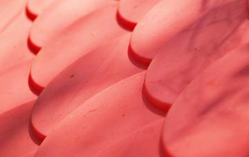 Diurinis plastic roof costs