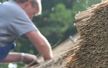 professional Diurinis thatchers